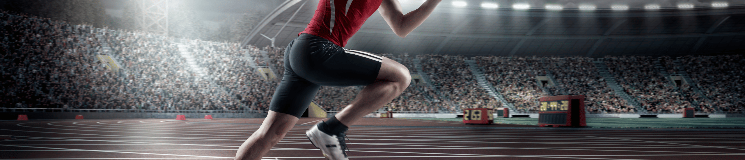 Opiekun Polskiej Reprezentacji Olimpijskiej