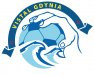 Vistal Gdynia Vistal Gdynia